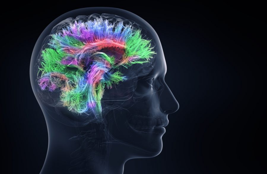 ABC Radio – Functional Neurological Disorders