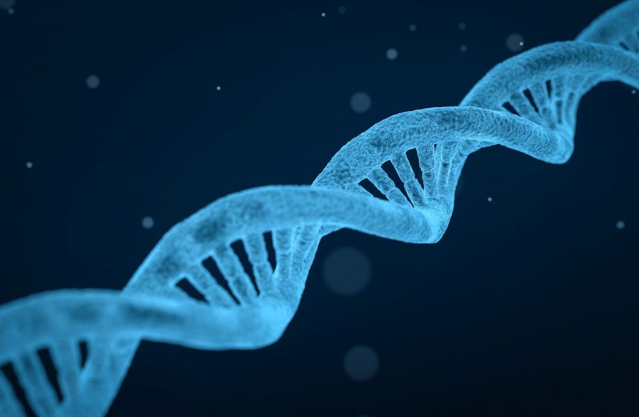 BRAIN RAVES BLOG 2. Motor Neurone Disease – good care, genes & the environment.
