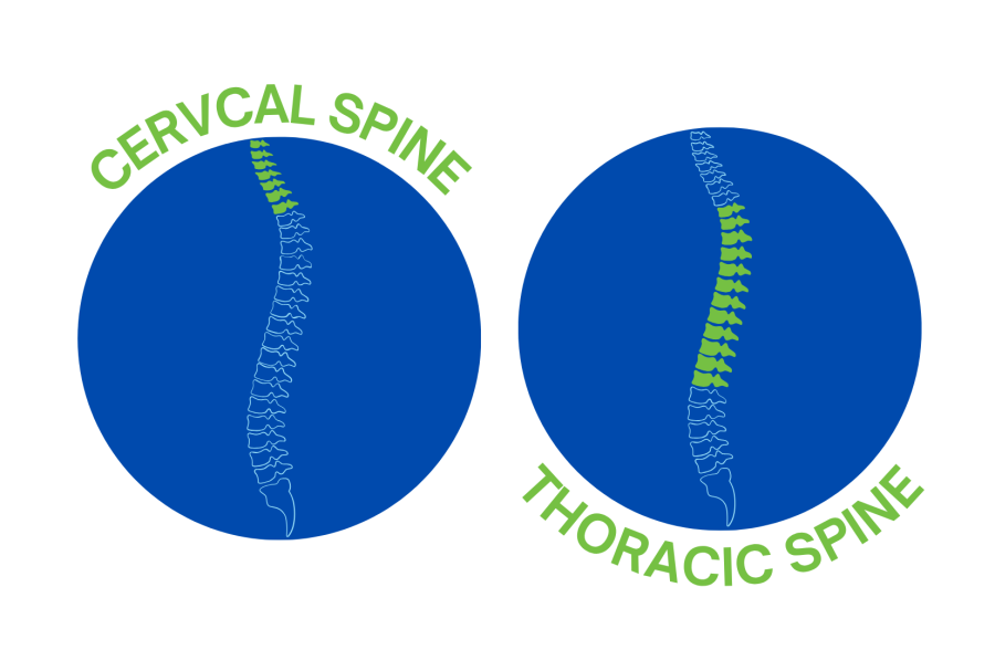 HOW YOUR NECK, UPPER BACK AND RIBS WORK TOGETHER!